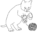 Cat (14)